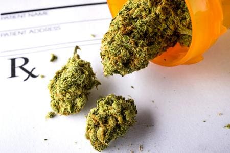 Close-up of cannabis buds spilling from an orange prescription bottle.